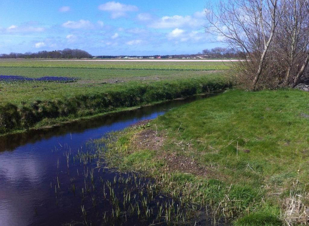 Strand49 Glamping Sint Maartenszee * Sint Maartensvlotbrug